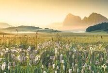 澳门哪个赌场人最多-澳门赌场人气排行，揭秘哪家人流最旺