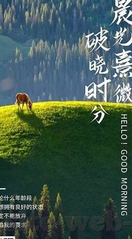 北足球比分-北足球比分，绿茵场上的数字交响曲
